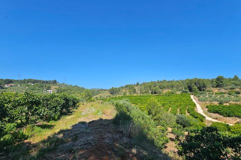 Landejendom i Canals, Valencia, Canals - € 160.000 | Ref: EB15252 - foto 50