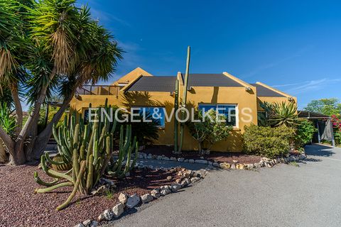Leilighet i Mutxamel, Alicante, Mutxamel - € 699 000 | Ref: W-02YZGQ - foto 42