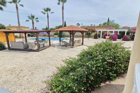 Landejendom i Catral, Alicante, Catral - € 385.000 | Ref: 5370 - foto 13