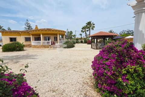 Landejendom i Catral, Alicante, Catral - € 385.000 | Ref: 5370 - foto 2