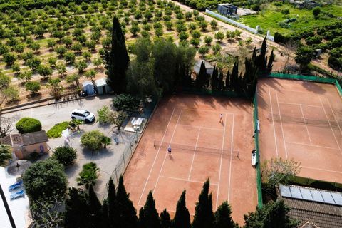Erhvervsejendom i Els Poblets, Alicante, Els Poblets - € 2.500.000 | Ref: AJ5019 - foto 38