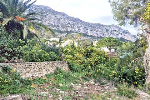 Terra a Denia, Alicante, Denia - € 198.000 | Ref: SM4668 - foto 17