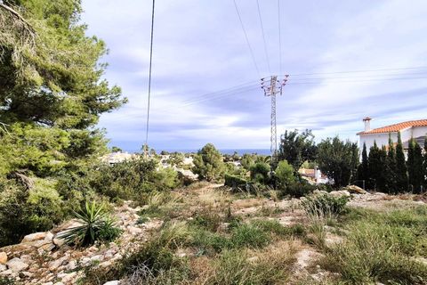 Terra a Denia, Alicante, Denia - € 198.000 | Ref: SM4668 - foto 18