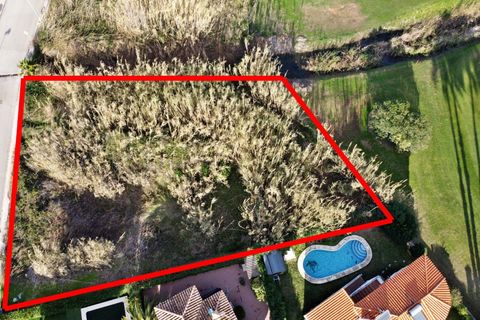 Terra a Oliva, Valencia, Oliva - € 410.000 | Ref: AB4420 - foto 2