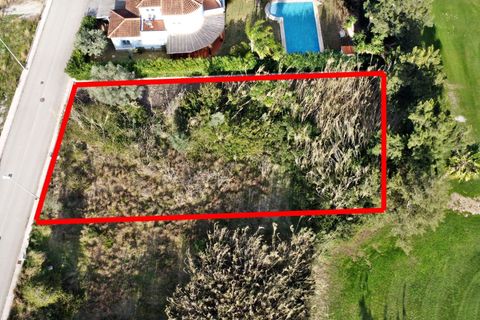 Terra a Oliva, Valencia, Oliva - € 410.000 | Ref: AB4420 - foto 3