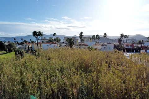 Terra a Oliva, Valencia, Oliva - € 410.000 | Ref: AB4420 - foto 7