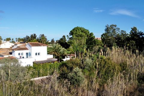 Terra a Oliva, Valencia, Oliva - € 410.000 | Ref: AB4420 - foto 8