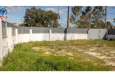 Farm i Amora, Setubal, Amora - € 127.500 | Ref: 30609012-1 - foto 13