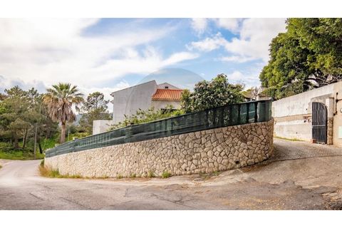 Villa i Palmela, Setubal, Palmela - € 930.000 | Ref: 30609012-2 - foto 11