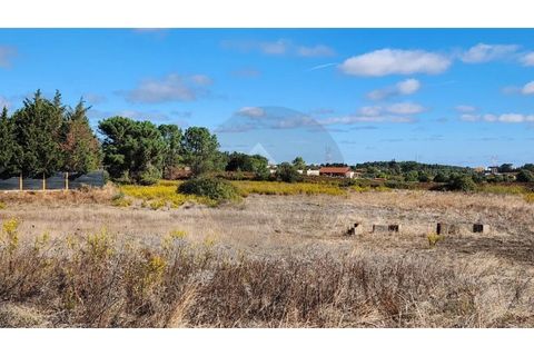 Farm i Palmela, Setubal, Palmela - € 90.000 | Ref: 3060902-11 - foto 3