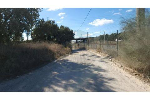 Farm i Palmela, Setubal, Palmela - € 90.000 | Ref: 3060902-11 - foto 7