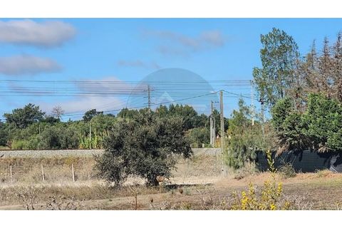 Farm i Palmela, Setubal, Palmela - € 90.000 | Ref: 3060902-11 - foto 8