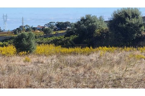Farm i Palmela, Setubal, Palmela - € 90.000 | Ref: 3060902-11 - foto 9