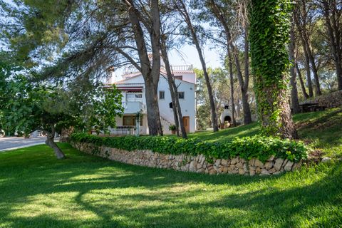Villa a Tortosa, Tarragona, Tortosa - € 1.000.000 | Ref: 368 - foto 9