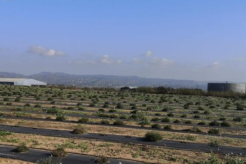 Landejendom i Beniganim, Valencia, Beniganim - € 69.000 | Ref: PNVL0055 - foto 7