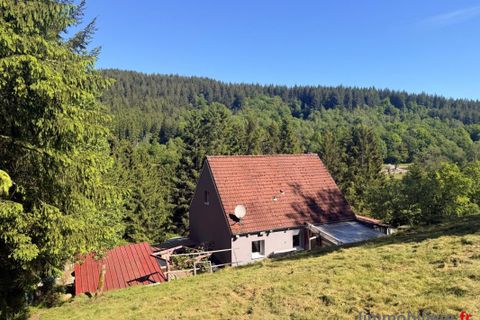 Villa i Fouday, Bas-Rhin, Fouday - € 229.000 | Ref: 999728-LIMMOBILIERE - foto 14