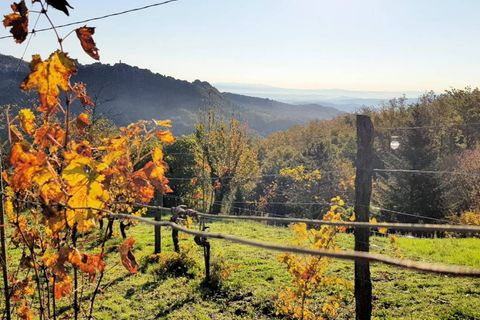 Villa i Roccastrada, Grosseto, Roccastrada - € 395.000 | Ref: 1507 - foto 2
