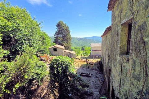 Landejendom i Roccastrada, Grosseto, Roccastrada - € 350.000 | Ref: 1705 - foto 3