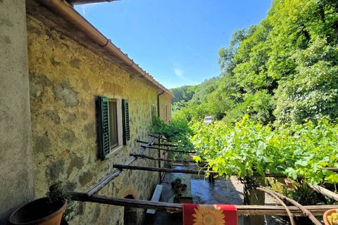 Landejendom i Roccastrada, Grosseto, Roccastrada - € 350.000 | Ref: 1705 - foto 5