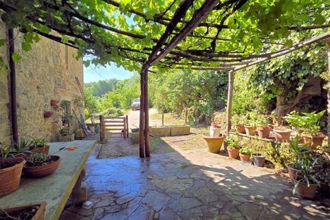 Landejendom i Roccastrada, Grosseto, Roccastrada - € 350.000 | Ref: 1705 - foto 9