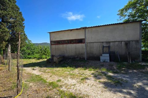 Landejendom i Roccastrada, Grosseto, Roccastrada - € 350.000 | Ref: 1705 - foto 15