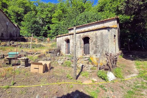 Landejendom i Roccastrada, Grosseto, Roccastrada - € 350.000 | Ref: 1705 - foto 16