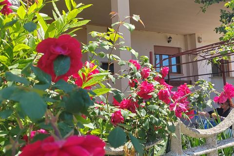 Lejlighed i Sezze, Latina, Sezze - € 89.000 | Ref: 2199 - foto 15