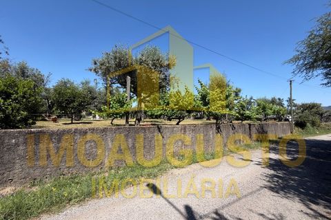 Terra a Minhocal, Guarda, Minhocal - € 19.500 | Ref: TER_2473 - foto 4