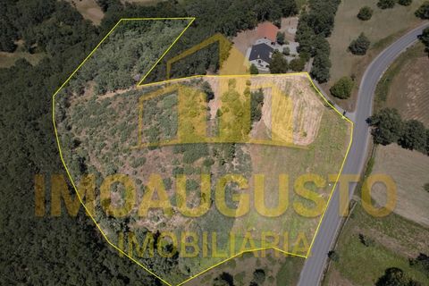 Helårsgrund i Sabugal, Guarda, Sabugal - € 38.500 | Ref: TER_2475 - foto 1