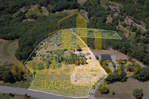 Helårsgrund i Sabugal, Guarda, Sabugal - € 38.500 | Ref: TER_2475 - foto 2