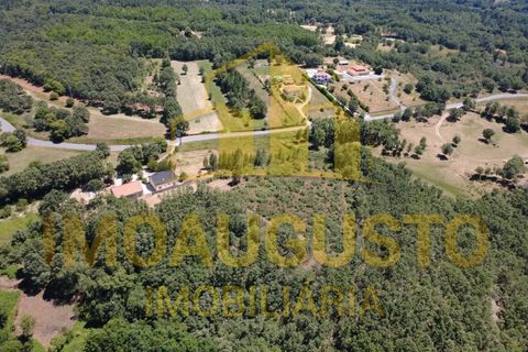 Helårsgrund i Sabugal, Guarda, Sabugal - € 38.500 | Ref: TER_2475 - foto 3