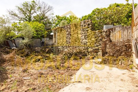 Villa i Pinhel, Guarda, Pinhel - € 18.650 | Ref: CAS_2476 - foto 4