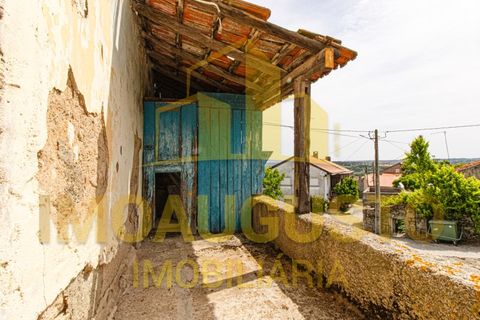 Villa i Pinhel, Guarda, Pinhel - € 18.650 | Ref: CAS_2476 - foto 13