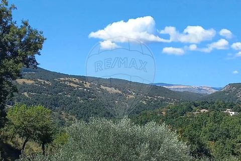 Villa a Coursegoules, Alpes-Maritimes, Coursegoules - € 759.000 | Ref: 750341019-229 - foto 14