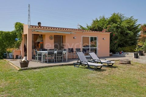 Farm i Quinta do Anjo, Setubal, Quinta do Anjo - € 560.000 | Ref: ST99365AC - foto 4