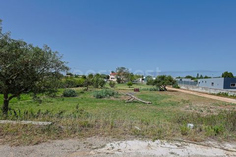 Farm i Quinta do Anjo, Setubal, Quinta do Anjo - € 560.000 | Ref: ST99365AC - foto 6