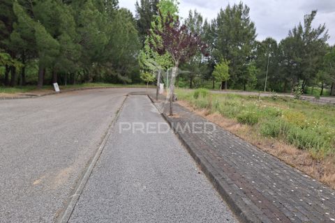 Helårsgrund i Constancia, Santarem, Constancia - € 54.000 | Ref: 059514 - foto 4