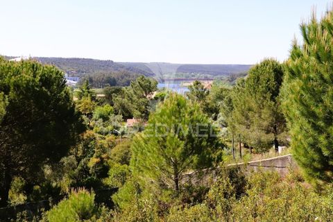 Helårsgrund i Constancia, Santarem, Constancia - € 54.000 | Ref: 059514 - foto 7