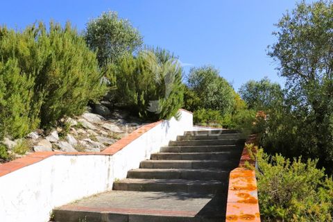 Helårsgrund i Constancia, Santarem, Constancia - € 54.000 | Ref: 059514 - foto 10