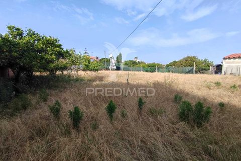 Byhus i Ilhavo, Aveiro, Ilhavo - € 190.000 | Ref: 060913 - foto 6