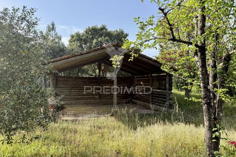 Byhus i Ourem, Santarem, Ourem - € 650.000 | Ref: 059402 - foto 34