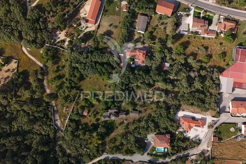 Byhus i Ourem, Santarem, Ourem - € 650.000 | Ref: 059402 - foto 40