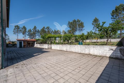 Byhus i Arganil, Coimbra, Arganil - € 360.000 | Ref: 060907 - foto 35