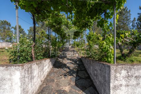 Byhus i Arganil, Coimbra, Arganil - € 360.000 | Ref: 060907 - foto 37