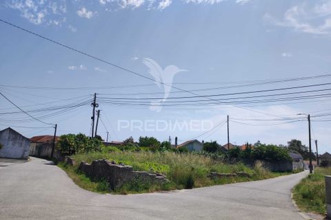 Helårsgrund i Vagos, Aveiro, Vagos - € 55.000 | Ref: 060942 - foto 3