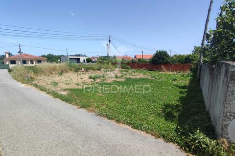Helårsgrund i Vagos, Aveiro, Vagos - € 55.000 | Ref: 060942 - foto 2