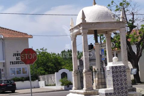 Helårsgrund i Vagos, Aveiro, Vagos - € 55.000 | Ref: 060942 - foto 5
