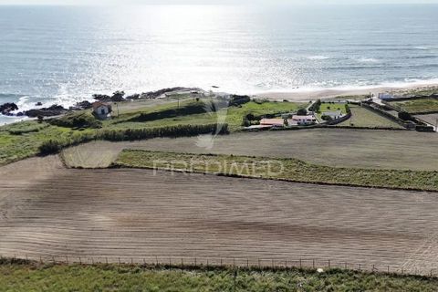 Helårsgrund i Vila do Conde, Porto, Vila do Conde - € 490.000 | Ref: 060903 - foto 9
