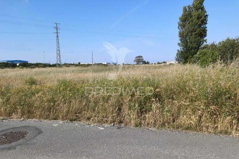Helårsgrund i Ilhavo, Aveiro, Ilhavo - € 59.900 | Ref: 061019 - foto 2