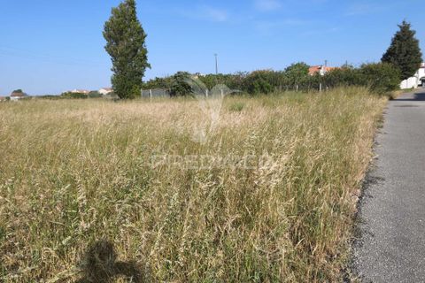 Helårsgrund i Ilhavo, Aveiro, Ilhavo - € 59.900 | Ref: 061019 - foto 4